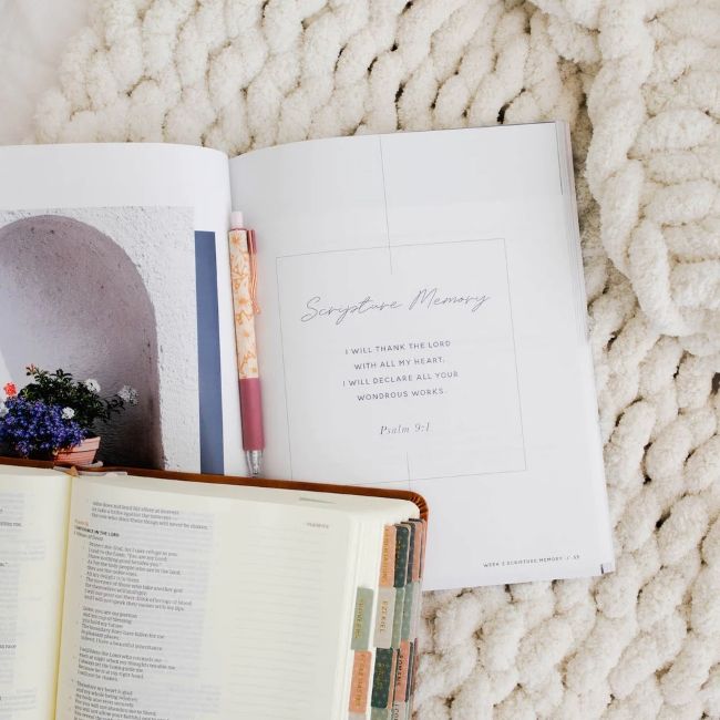 117-0024 Product Image 2