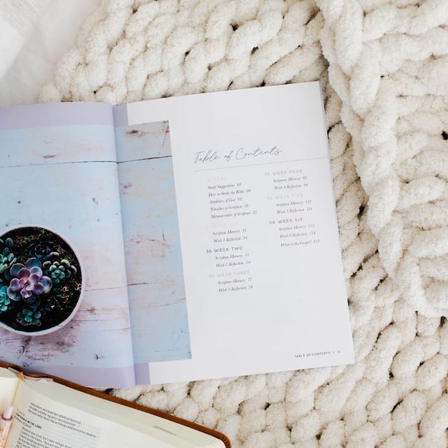 117-0024 Product Image 5