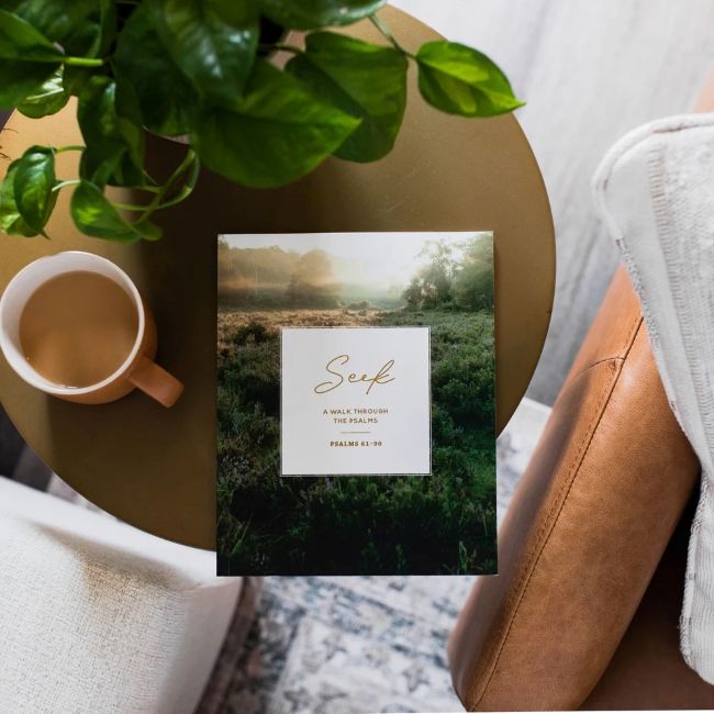 117-0039 Product Image 1