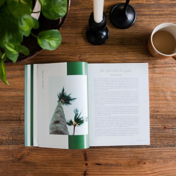 117-0039 Product Image 4