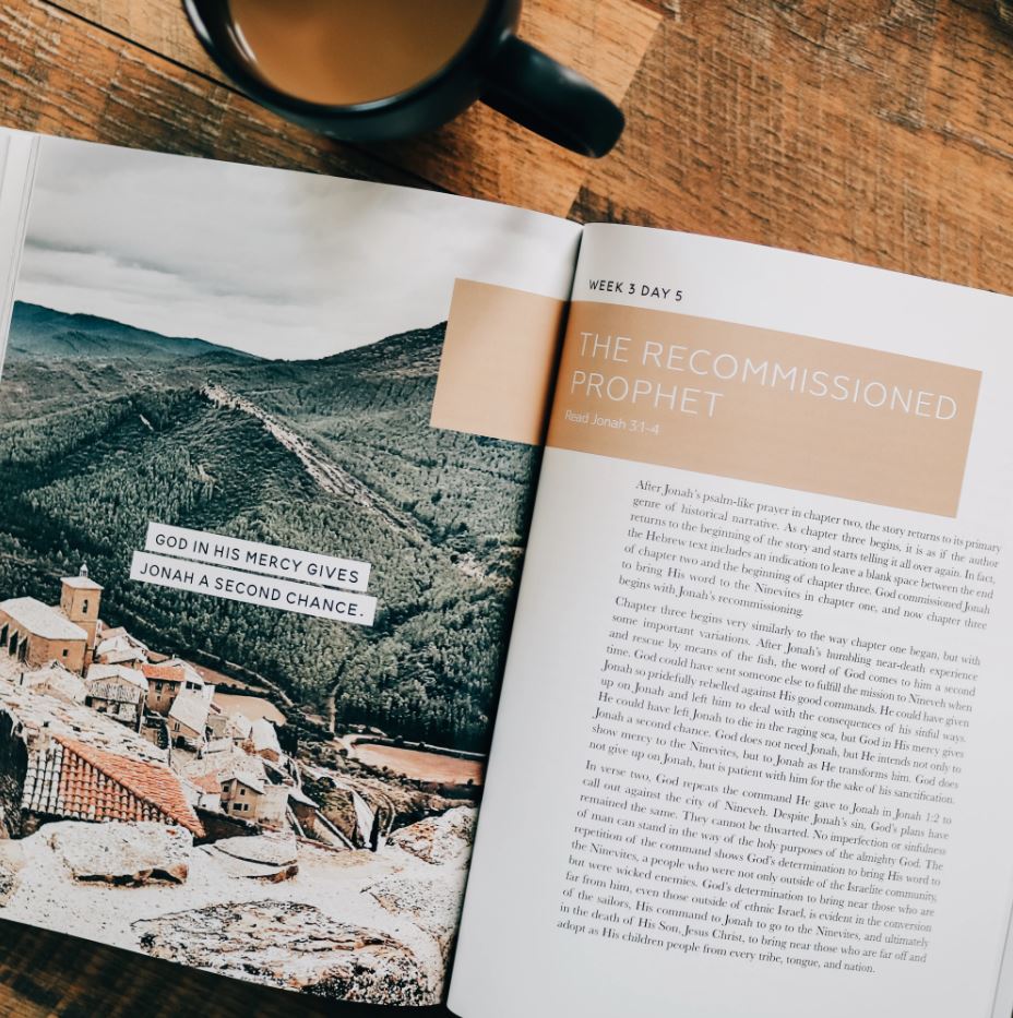 117-0152 Product Image 4