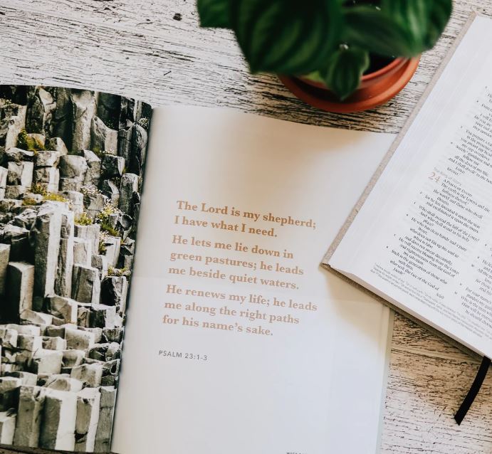 117-0186 Product Image 3