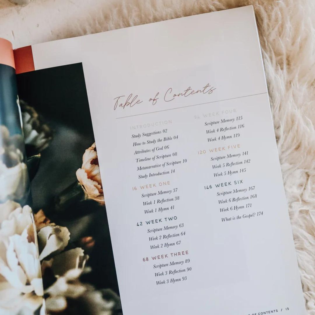 117-0198 Product Image 2