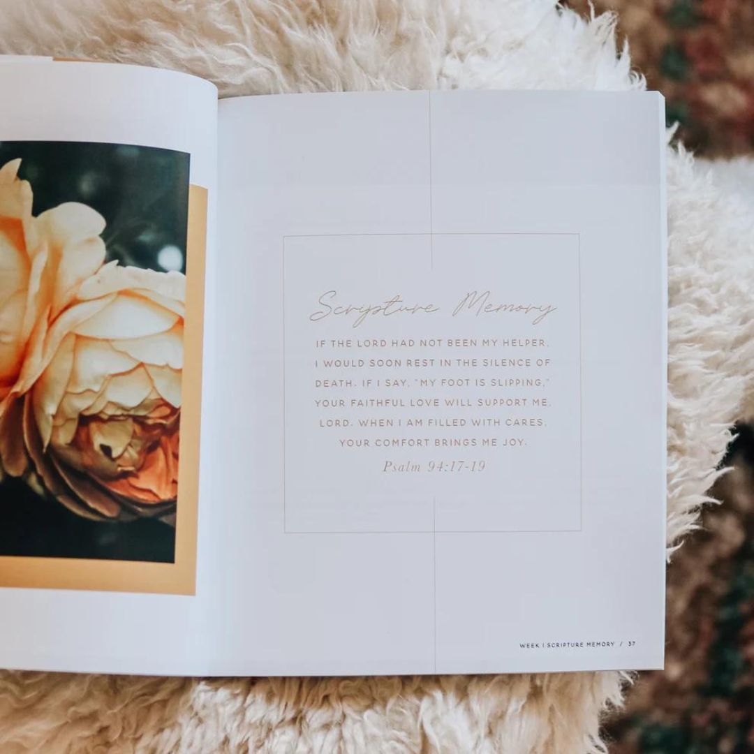 117-0198 Product Image 5