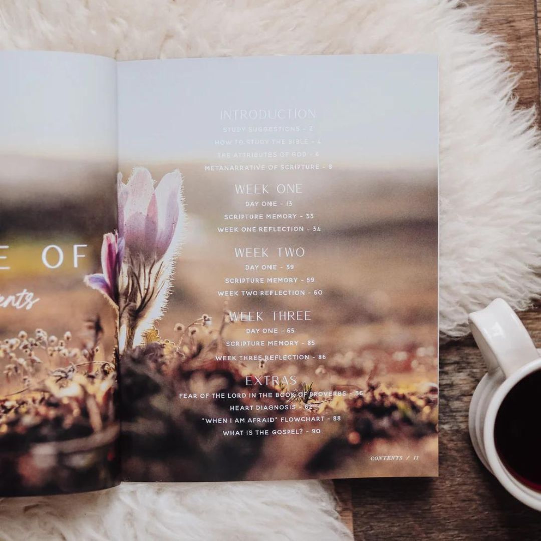 117-0199 Product Image 2