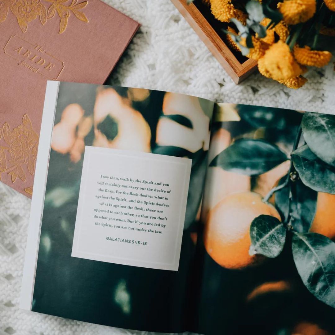 117-0200 Product Image 3