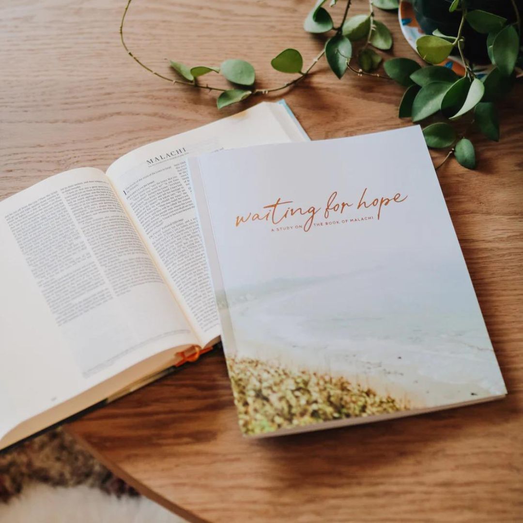 Product 117-0202 - View 2 117-0202 Product Image 2