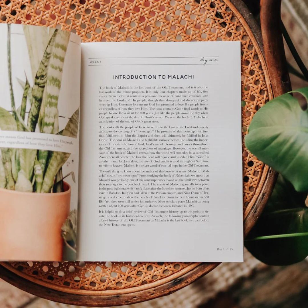 Product 117-0202 - View 3 117-0202 Product Image 3