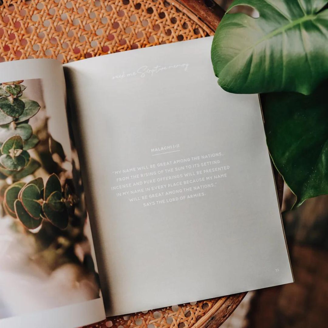 Product 117-0202 - View 5 117-0202 Product Image 5