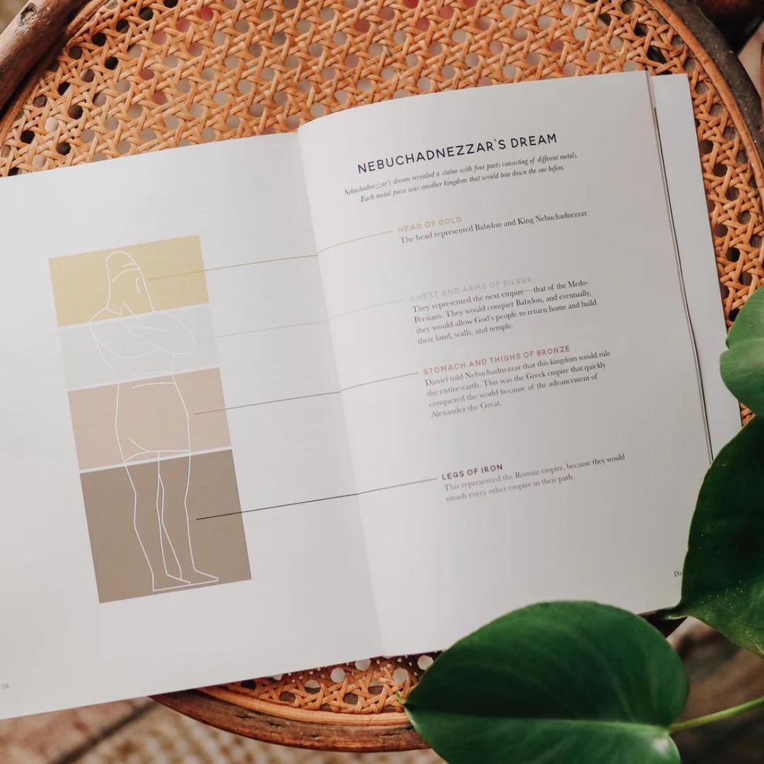 Product 117-0202 - View 6 117-0202 Product Image 6