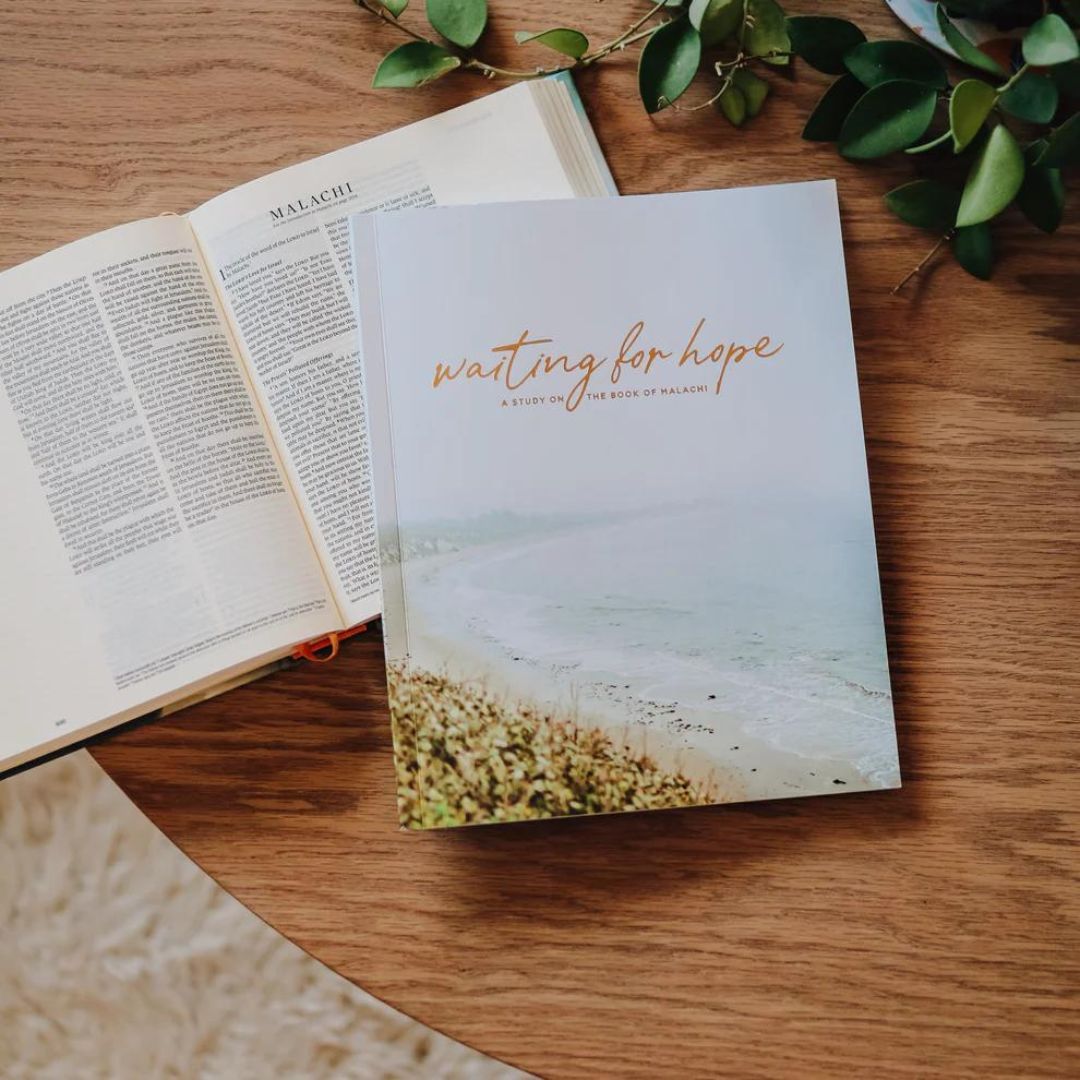 Product 117-0202 - View 7 117-0202 Product Image 7