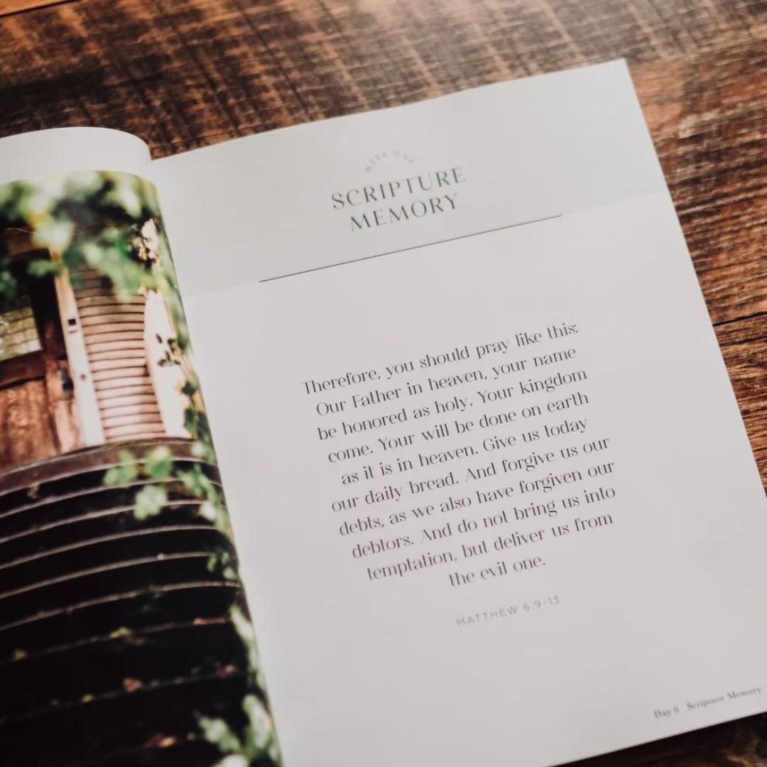 Product 117-0203 - View 6 117-0203 Product Image 6