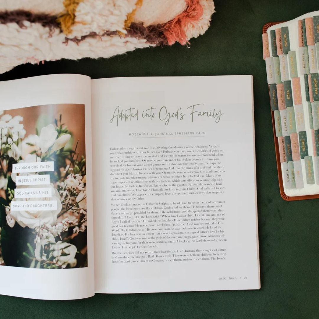 117-0213 Product Image 2