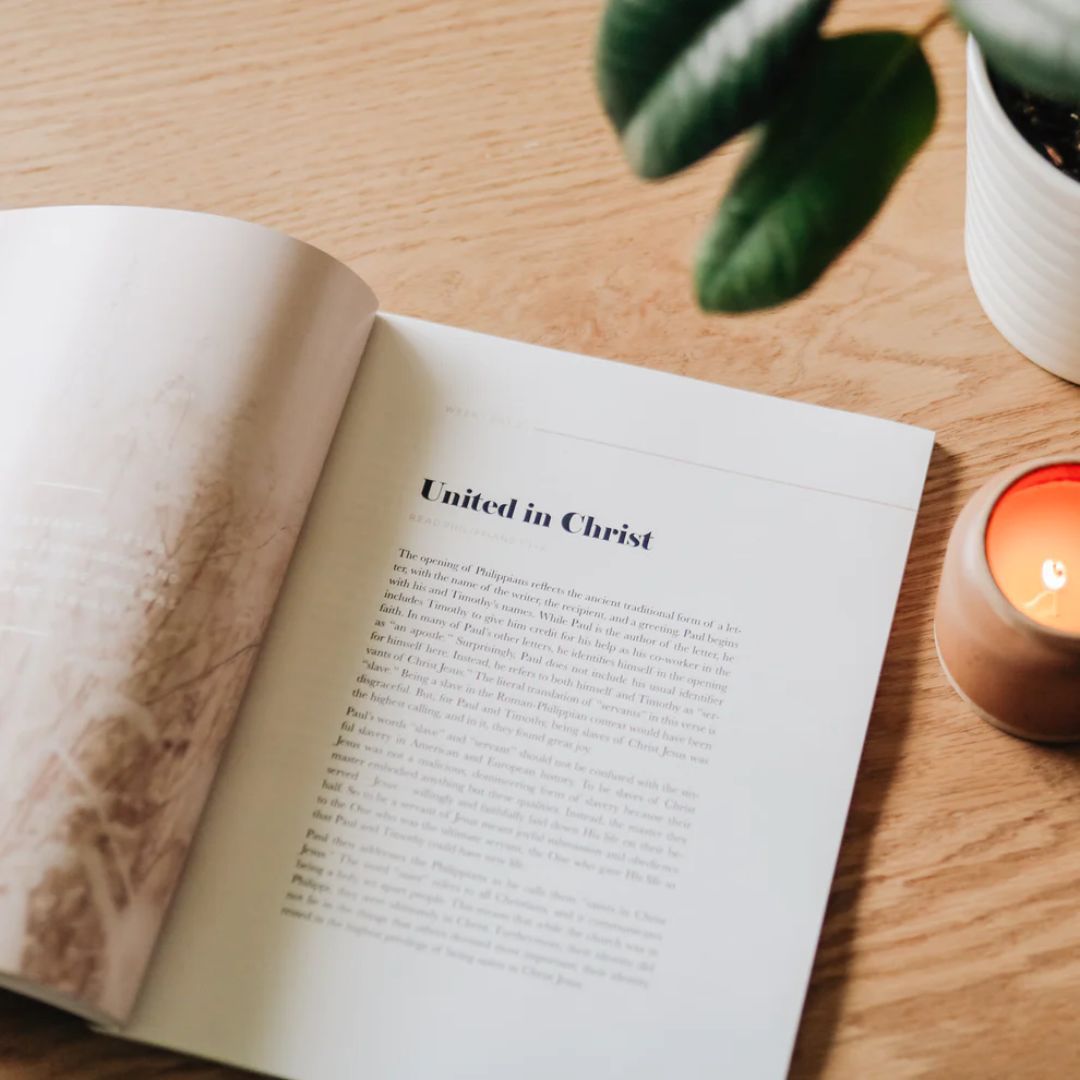 117-0217 Product Image 2