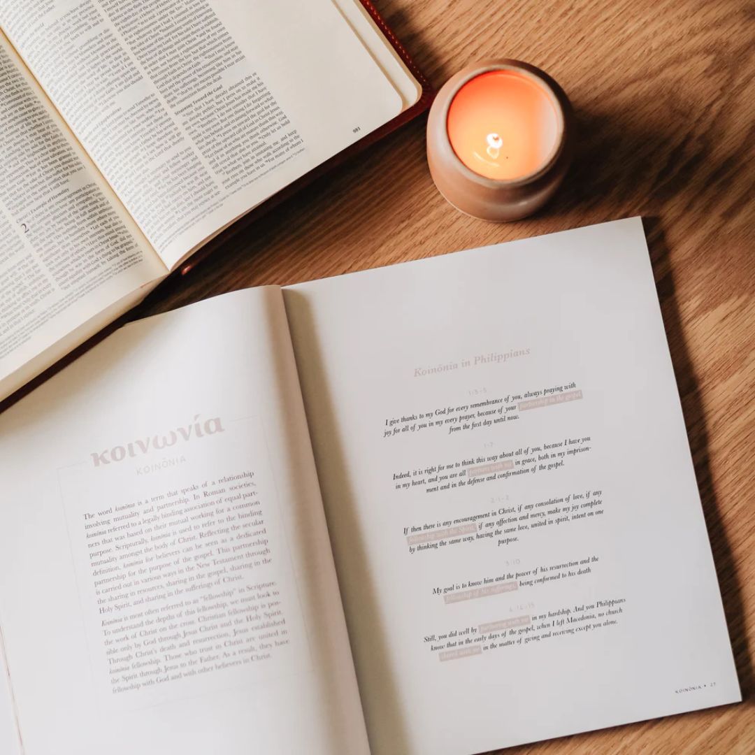 117-0217 Product Image 3