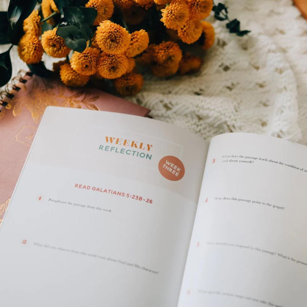 117-0221 Product Image 5