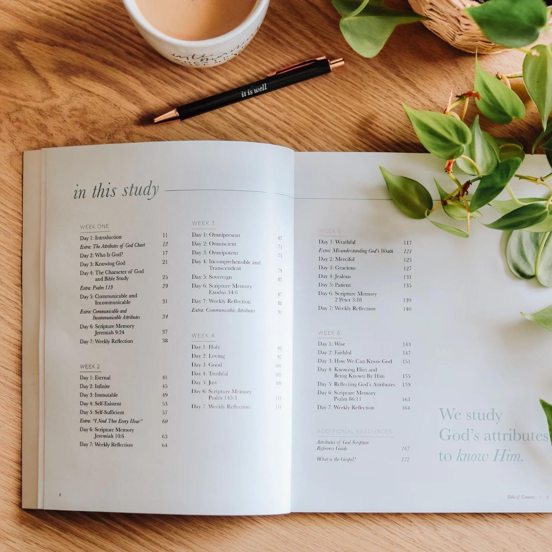 117-0242 Product Image 2