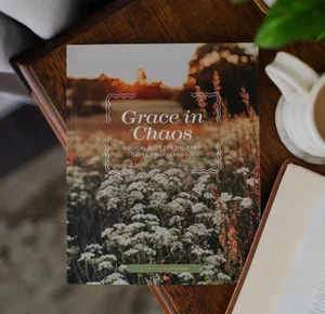 Grace in Chaos: Biblical Hope for the Hard Days of Motherhood