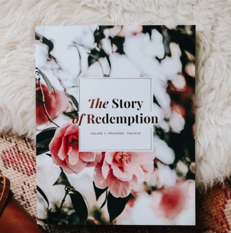 Image of The Story of Redemption Volume 3