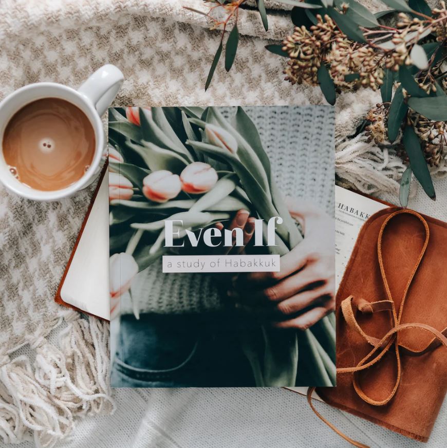 117-1711 Product Image 1