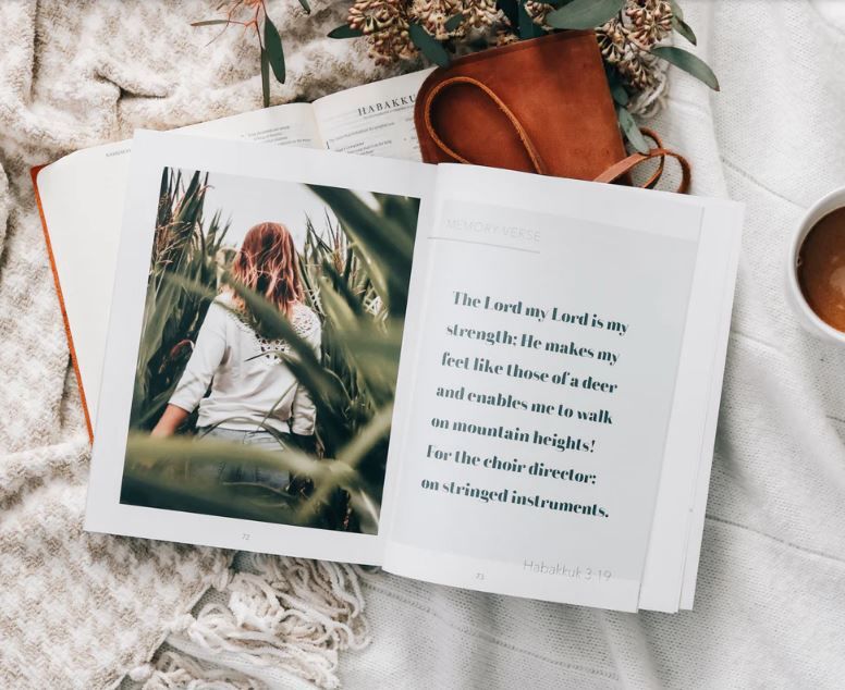 117-1711 Product Image 3