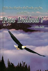 Free Indeed John 8:36 Study Guide Teacher's Edition