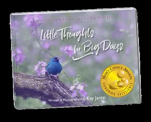 Little Thoughts for Big Days - Photographic Reflections