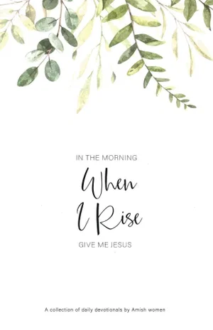 In the Morning When I Rise