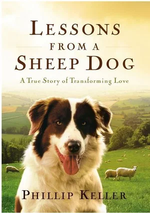 Lessons from a Sheep Dog