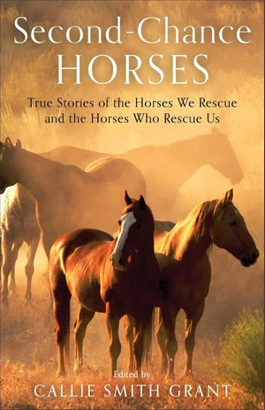 Second-Chance Horses: True Stories of the Horses