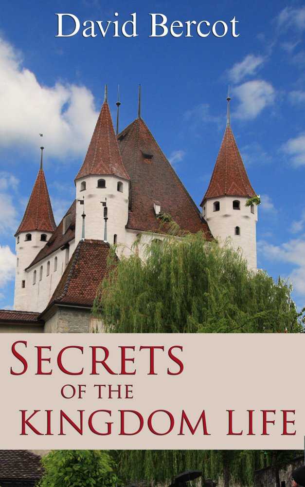 118-2432 Product Image 1