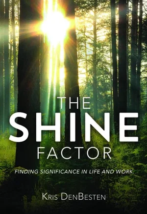 SHINE FACTOR
