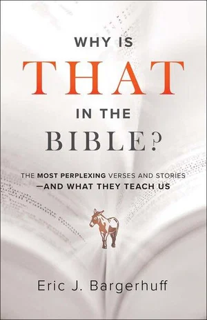 Why Is That in the Bible?: The Most Perplexing Verses and Stories-