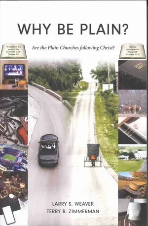 Why Be Plain?