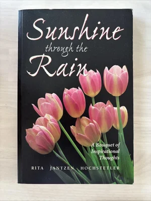 Sunshine Through the Rain