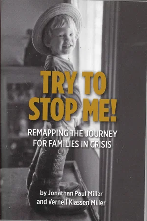 Try to Stop Me -Remapping the Journey for Families in Crisis