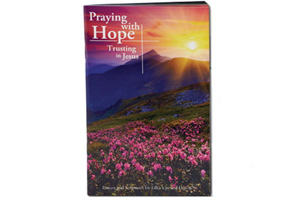 118-4019 Product Image 1