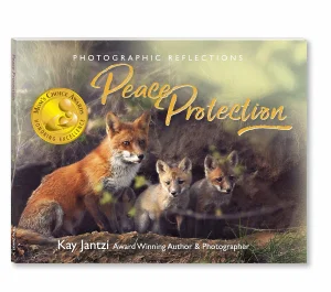 Peace Protection Book #4