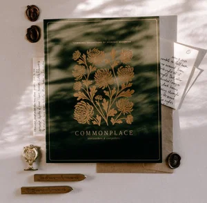 Daughters of Promise - Commonplace Vol. 9 Storyseekers & Storytellers