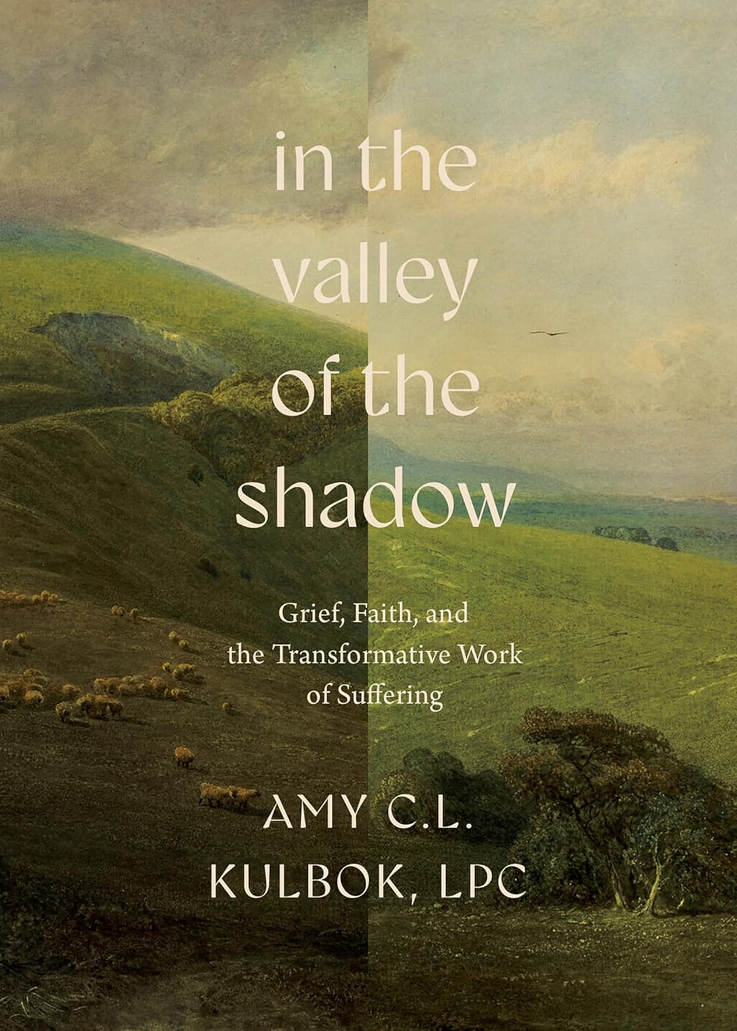 In the Valley of the Shadow: Grief, Faith, and the Transformative Work of Suffer