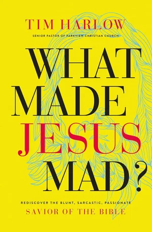 What Made Jesus Mad? Paperback