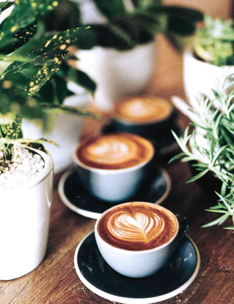 Product 120-0111 - View 2 120-0111 Product Image 2