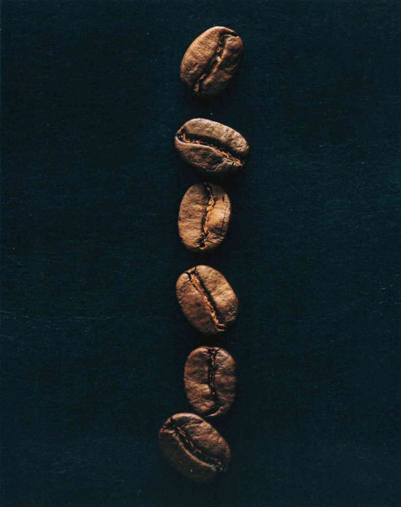 Product 120-0111 - View 6 120-0111 Product Image 6