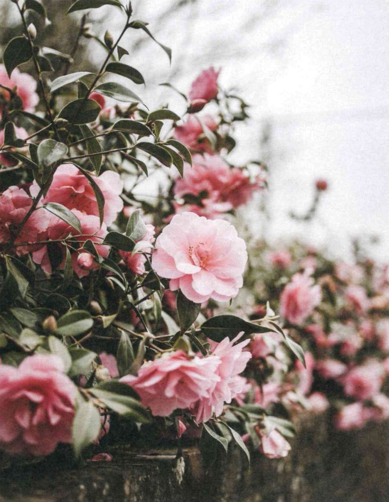 120-0112 Product Image 3