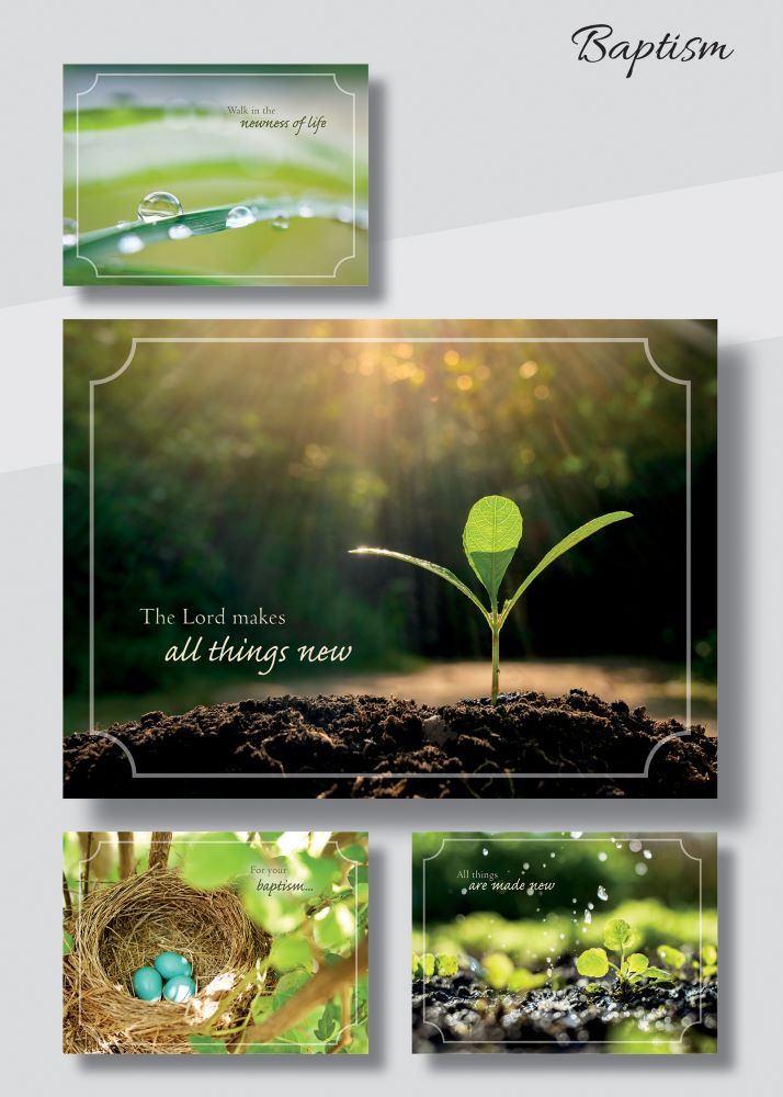 120-0120 Product Image 1