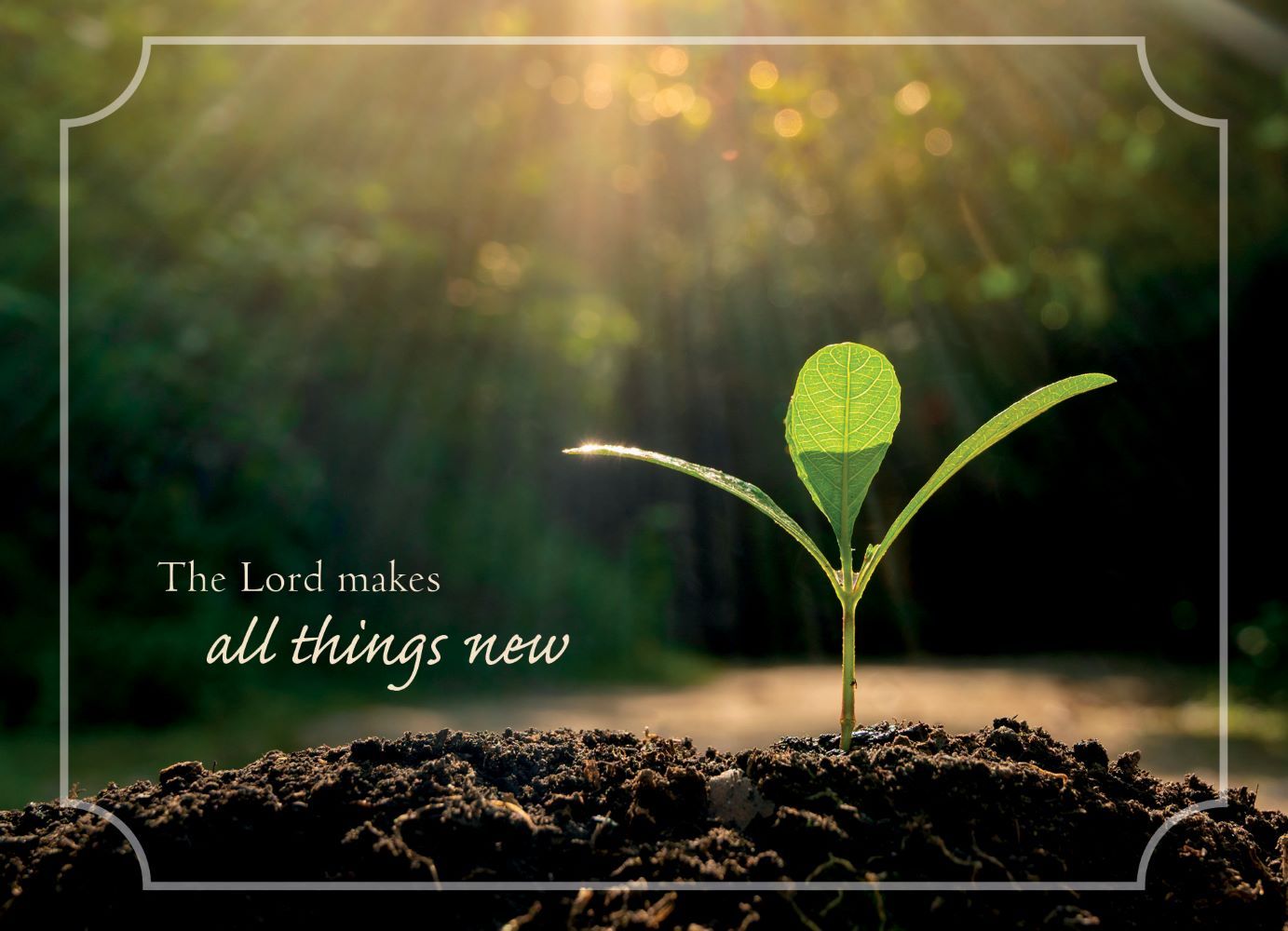 120-0120 Product Image 2