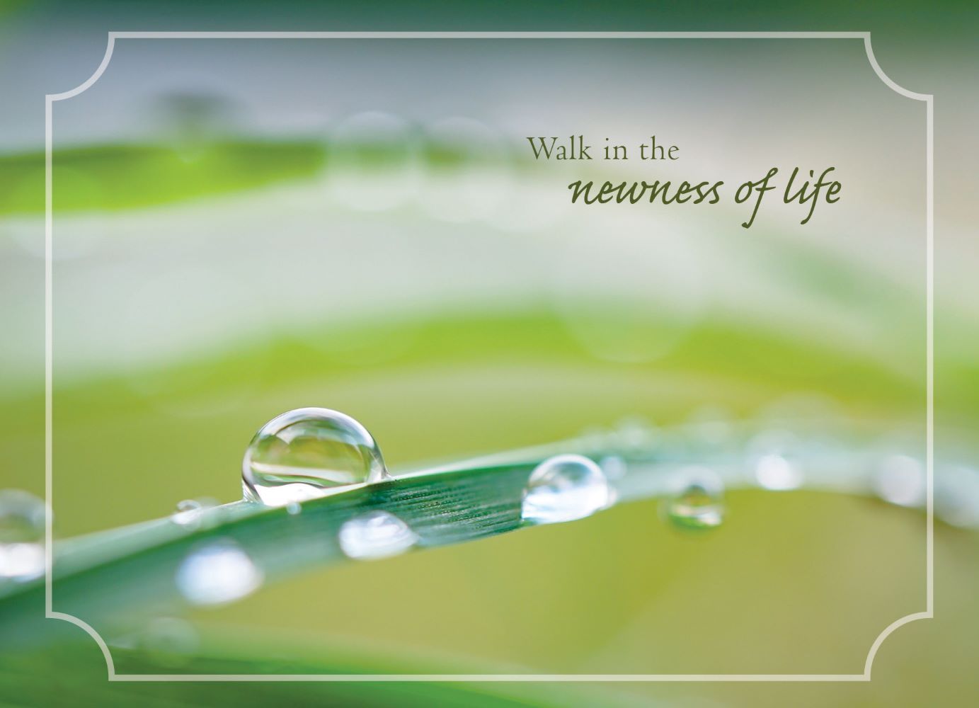 120-0120 Product Image 6