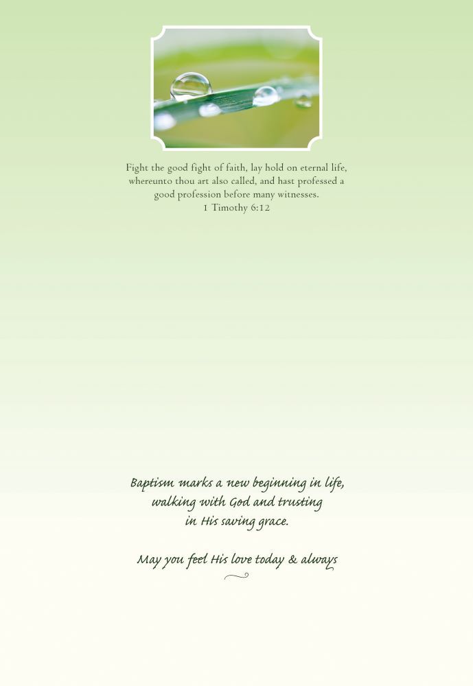 120-0120 Product Image 7