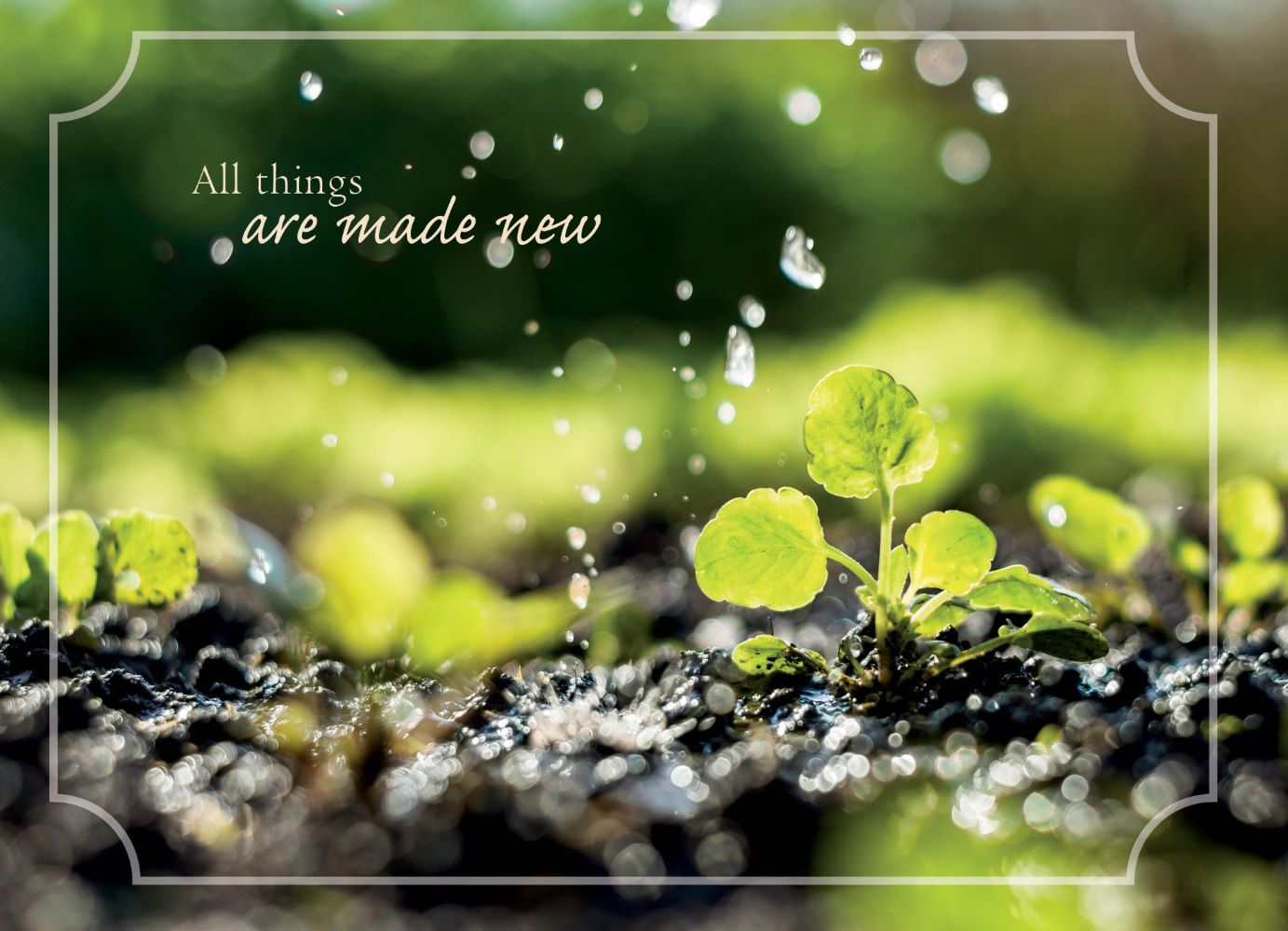 120-0120 Product Image 8