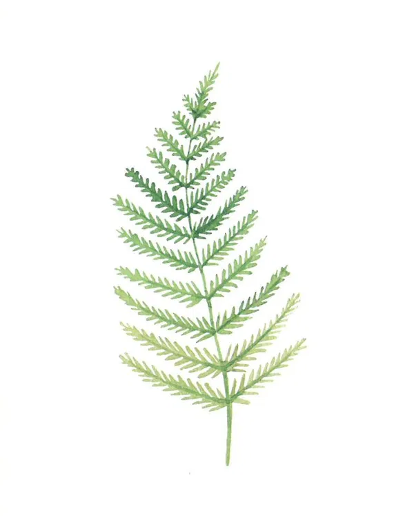 120-0133 Product Image 2